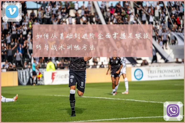 如何从基础到进阶全面掌握足球技巧与战术训练方法
