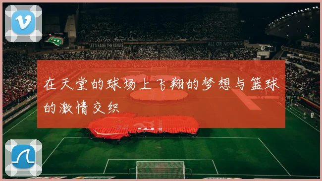 在天堂的球场上飞翔的梦想与篮球的激情交织