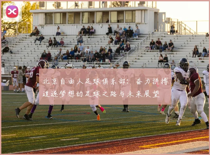 北京自由人足球俱乐部：奋力拼搏追逐梦想的足球之路与未来展望