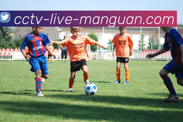 登录入口发展历程